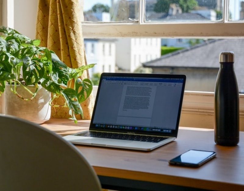 Create A Comfortable And Lively Work Space By Using These 10 Basic Work From Home Essentials!